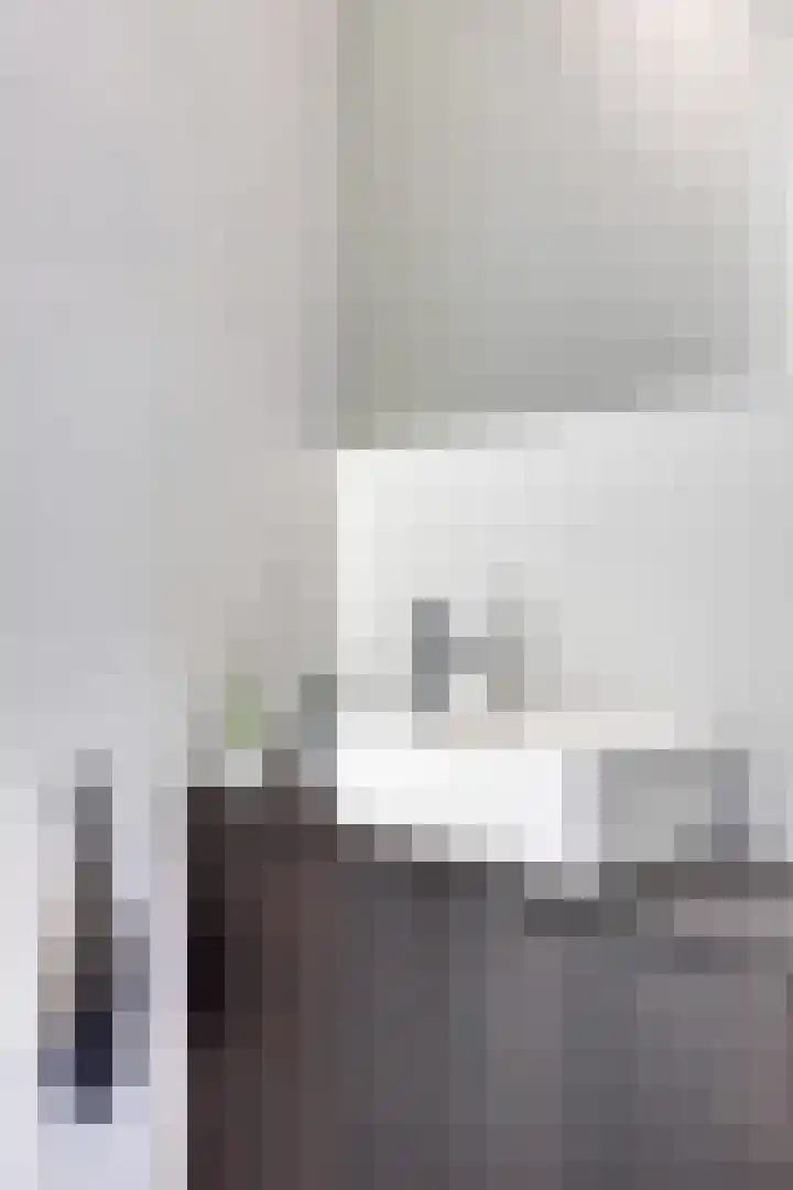 Koolmees 6 Mierlo thumbnail 11