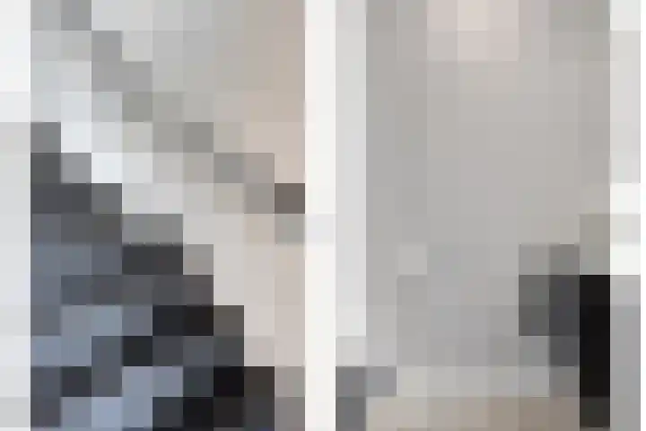 Koolmees 6 Mierlo thumbnail 13