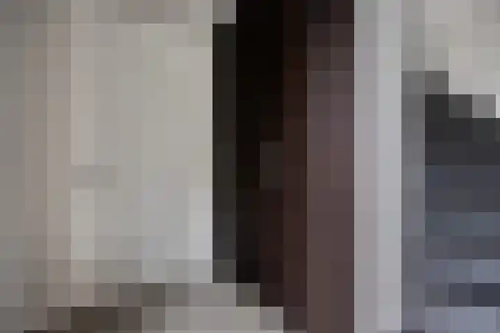 Koolmees 6 Mierlo thumbnail 14