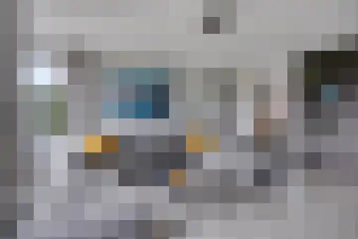 Koolmees 6 Mierlo thumbnail 16