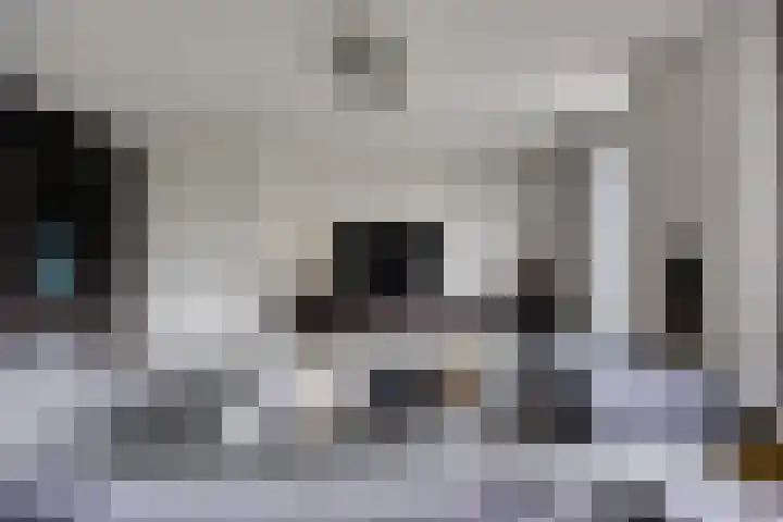 Koolmees 6 Mierlo thumbnail 17