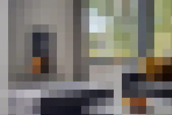 Koolmees 6 Mierlo thumbnail 18