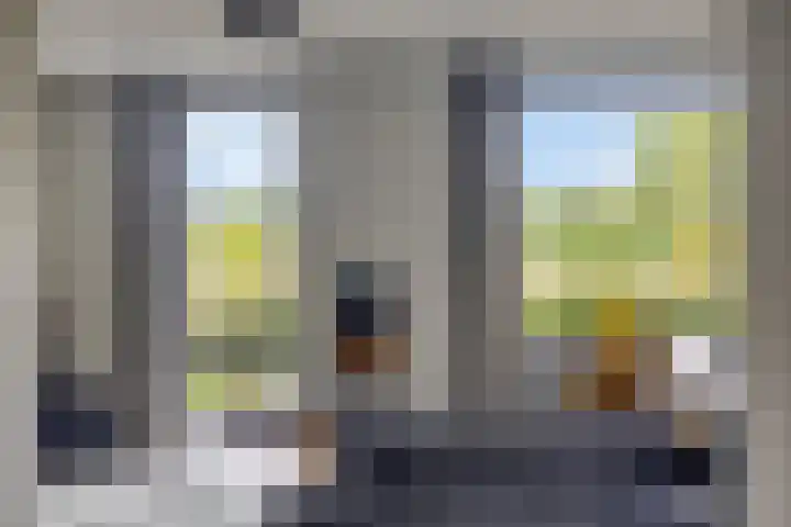 Koolmees 6 Mierlo thumbnail 19