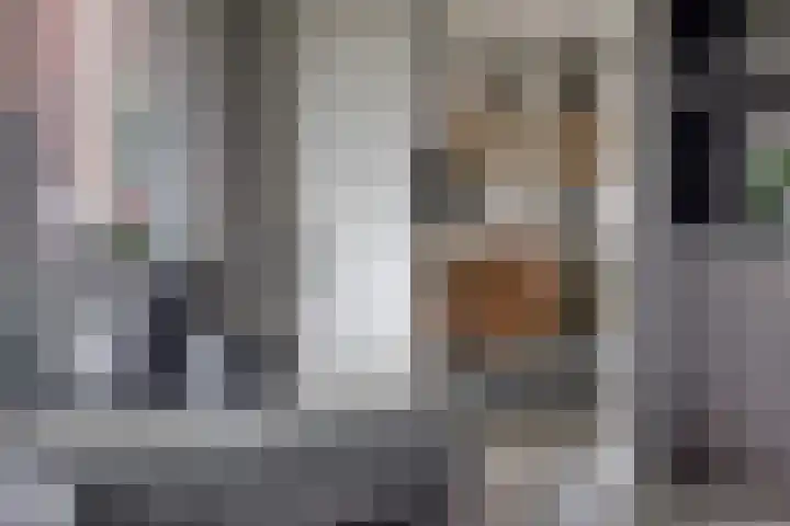 Koolmees 6 Mierlo thumbnail 20