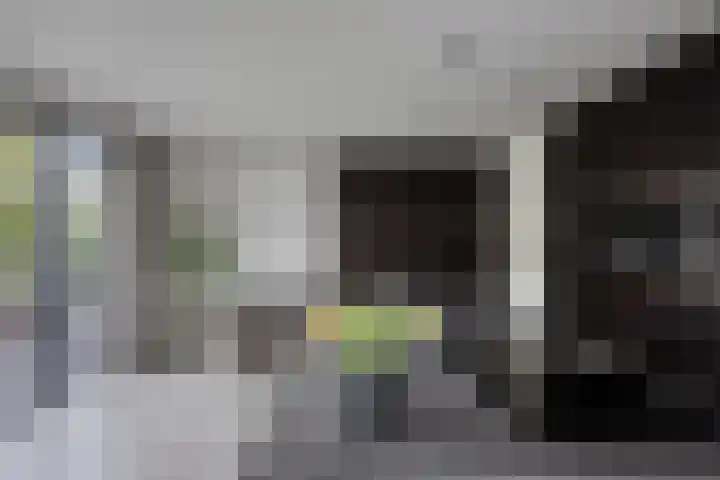 Koolmees 6 Mierlo thumbnail 23