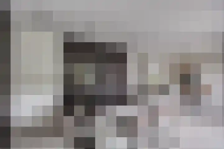Koolmees 6 Mierlo thumbnail 24
