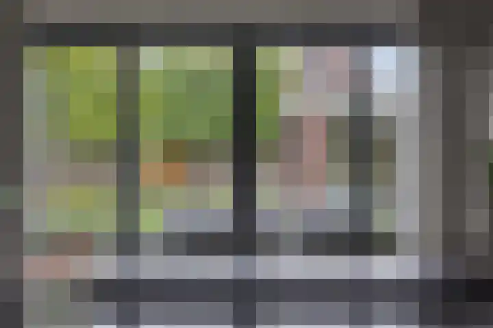 Koolmees 6 Mierlo thumbnail 26