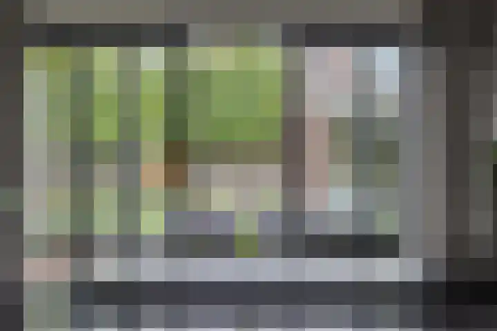 Koolmees 6 Mierlo thumbnail 27