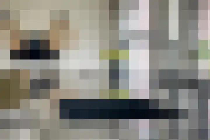 Koolmees 6 Mierlo thumbnail 30