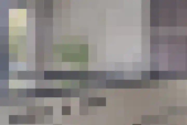 Koolmees 6 Mierlo thumbnail 31