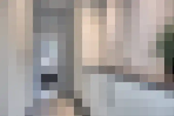 Koolmees 6 Mierlo thumbnail 32
