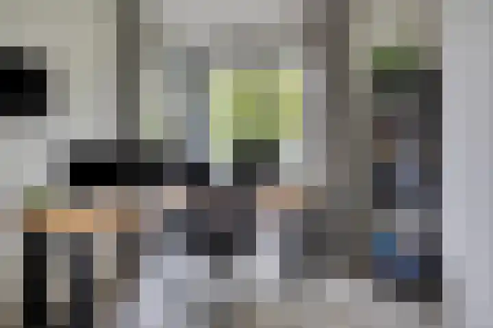 Koolmees 6 Mierlo thumbnail 34