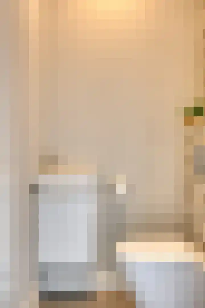 Koolmees 6 Mierlo thumbnail 36