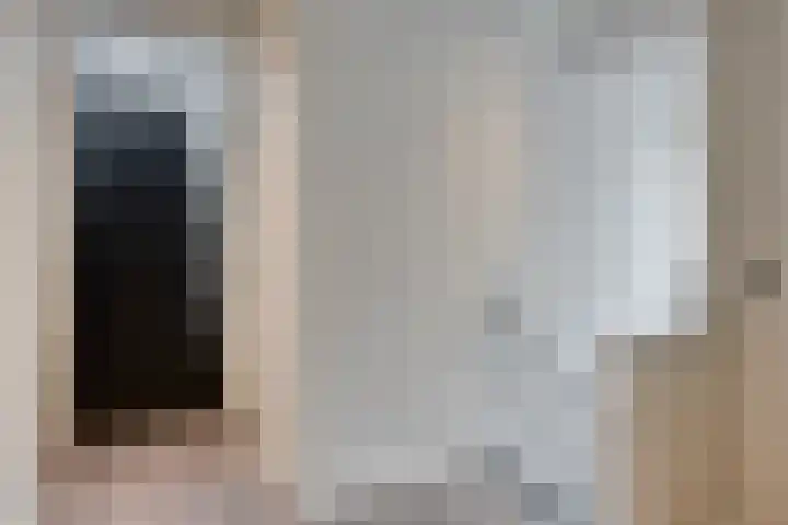 Koolmees 6 Mierlo thumbnail 38