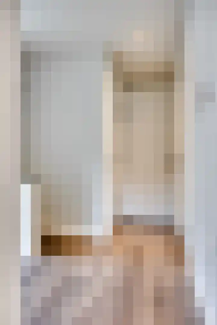 Koolmees 6 Mierlo thumbnail 39
