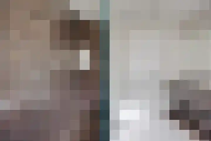 Koolmees 6 Mierlo thumbnail 45