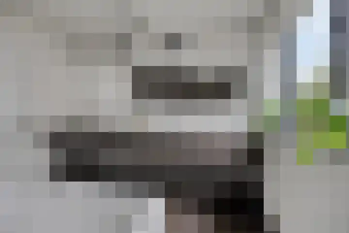 Koolmees 6 Mierlo thumbnail 46