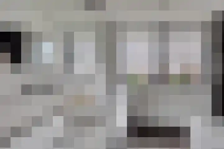Koolmees 6 Mierlo thumbnail 47