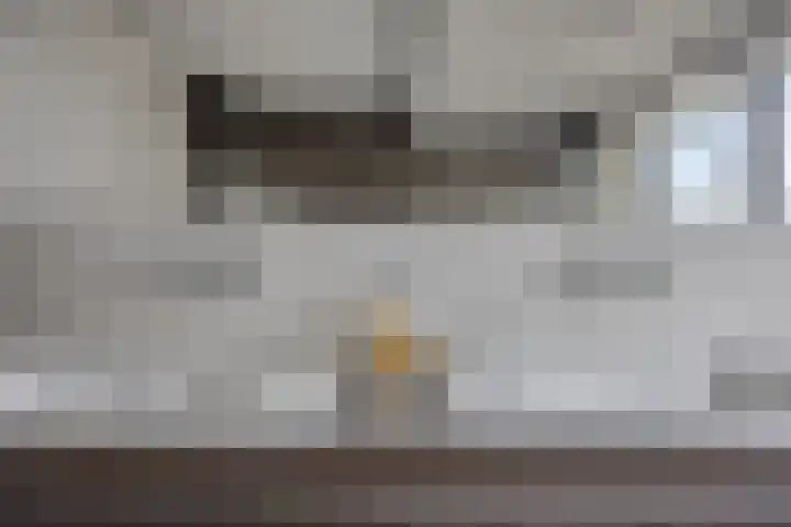 Koolmees 6 Mierlo thumbnail 48