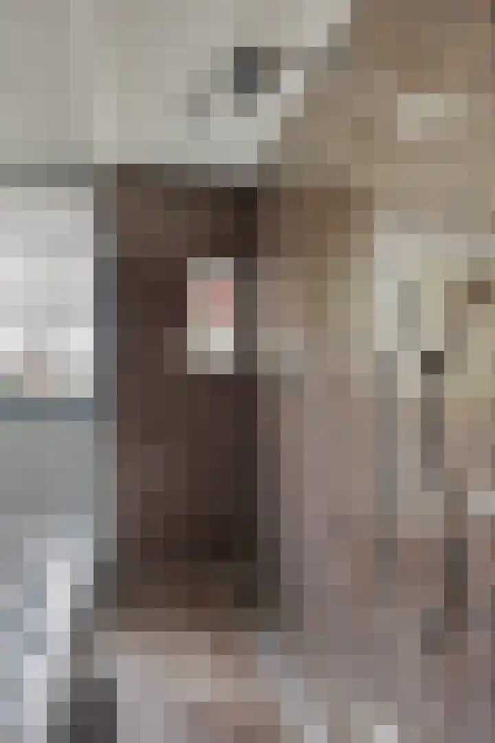 Koolmees 6 Mierlo thumbnail 49