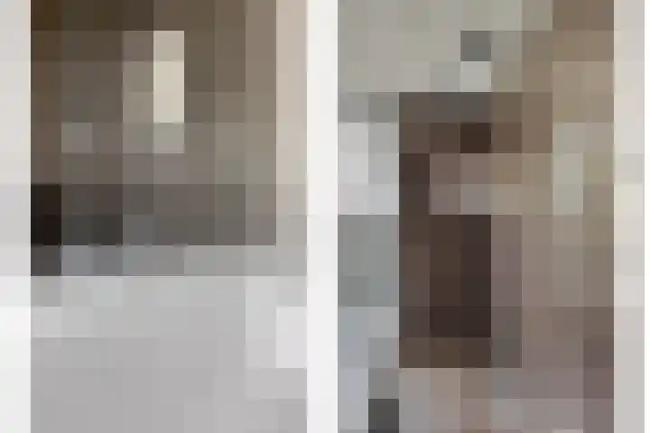 Koolmees 6 Mierlo thumbnail 50