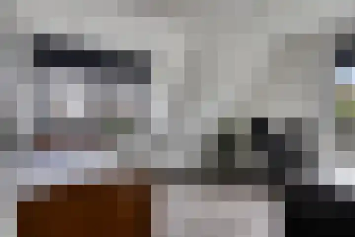 Koolmees 6 Mierlo thumbnail 51