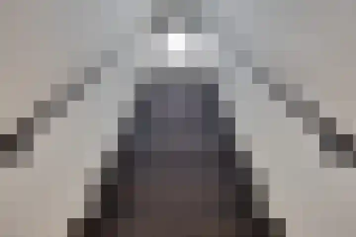 Koolmees 6 Mierlo thumbnail 53