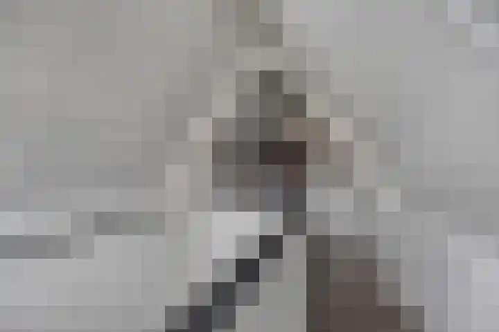 Koolmees 6 Mierlo thumbnail 54