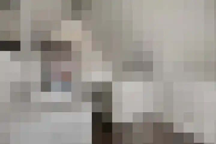 Koolmees 6 Mierlo thumbnail 55