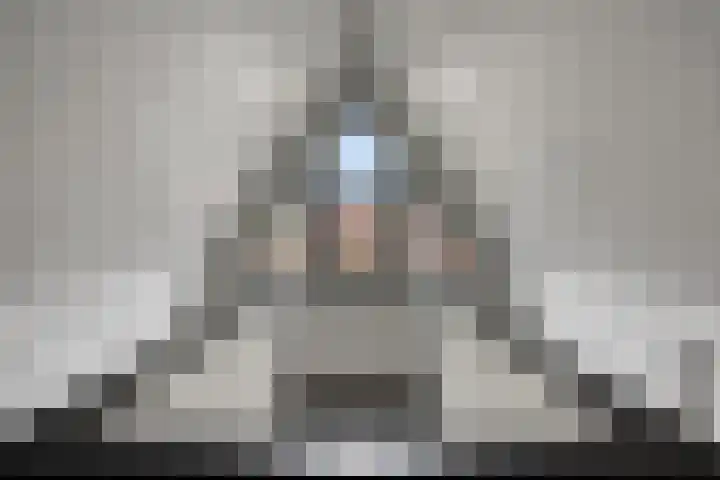 Koolmees 6 Mierlo thumbnail 56
