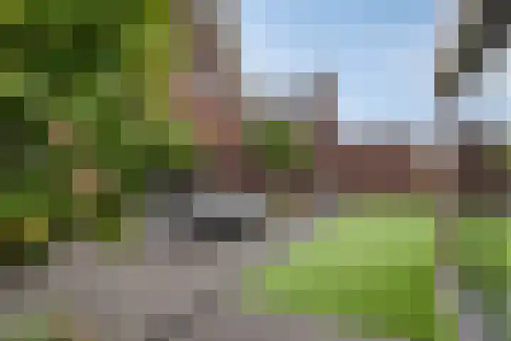 Koolmees 6 Mierlo thumbnail 58