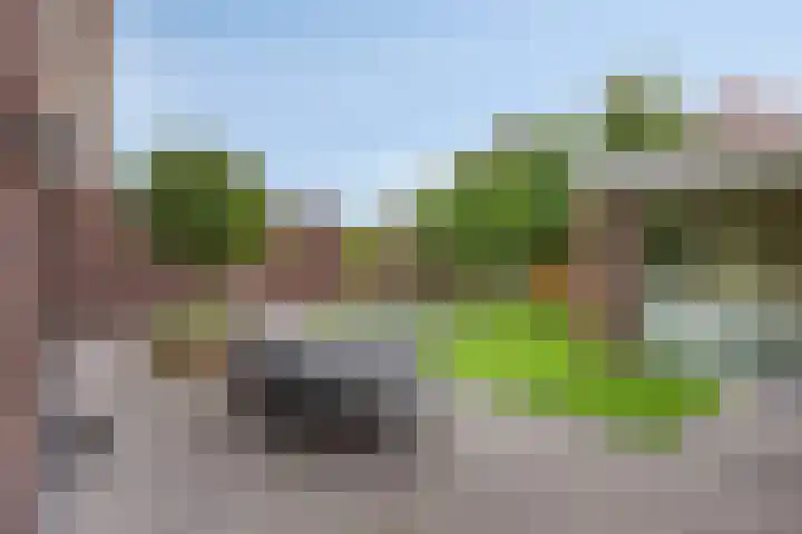 Koolmees 6 Mierlo thumbnail 59