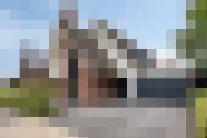 Koolmees 6 Mierlo thumbnail 6