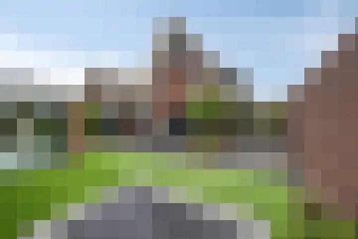 Koolmees 6 Mierlo thumbnail 60