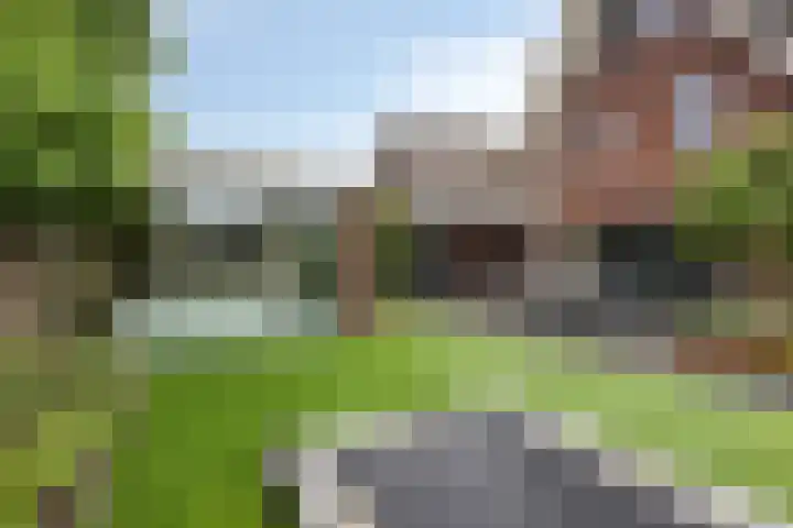Koolmees 6 Mierlo thumbnail 61