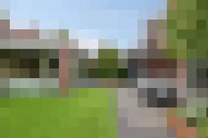 Koolmees 6 Mierlo thumbnail 62