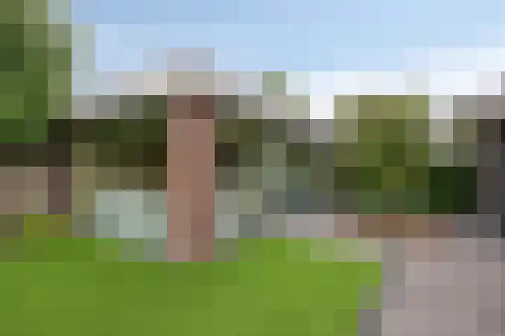 Koolmees 6 Mierlo thumbnail 63