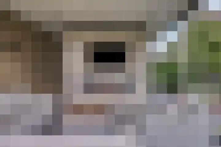Koolmees 6 Mierlo thumbnail 64