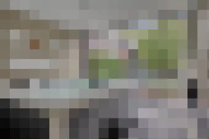 Koolmees 6 Mierlo thumbnail 66