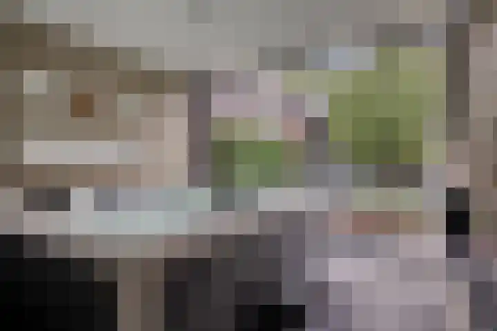 Koolmees 6 Mierlo thumbnail 67