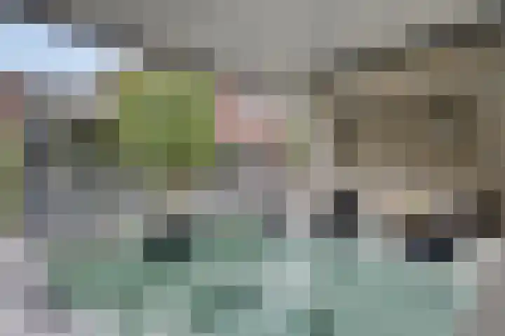 Koolmees 6 Mierlo thumbnail 68