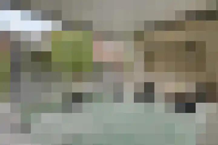 Koolmees 6 Mierlo thumbnail 69