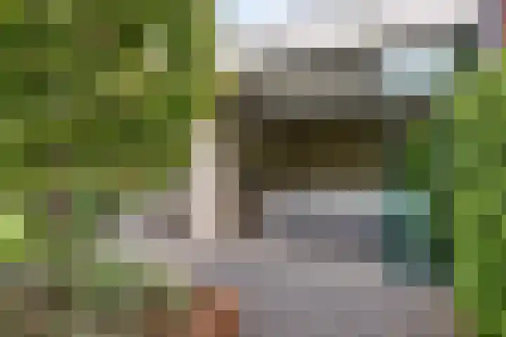 Koolmees 6 Mierlo thumbnail 71