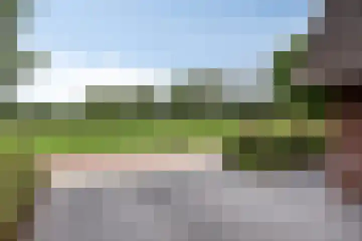 Koolmees 6 Mierlo thumbnail 72