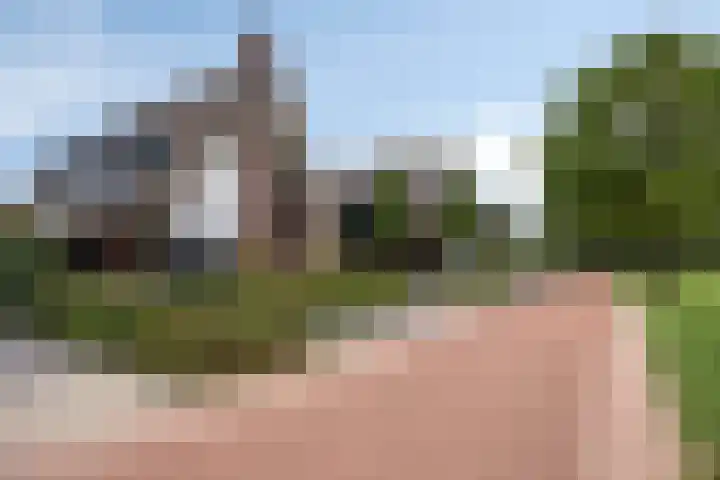 Koolmees 6 Mierlo thumbnail 73