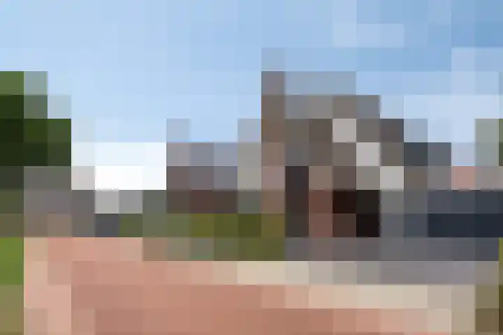 Koolmees 6 Mierlo thumbnail 74