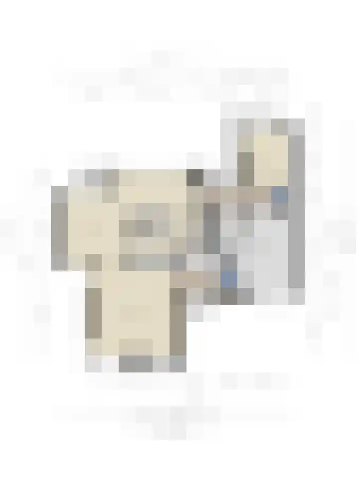 Koolmees 6 Mierlo thumbnail 76