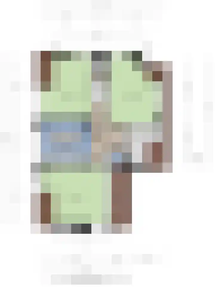 Koolmees 6 Mierlo thumbnail 77