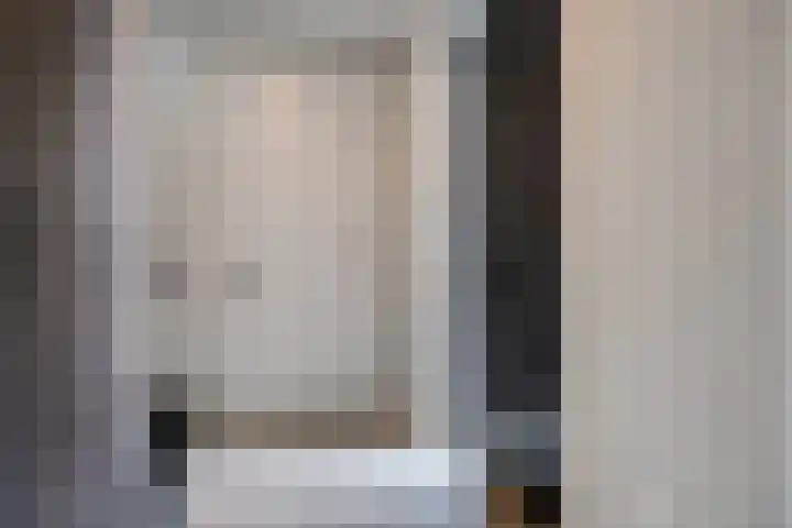 Koolmees 6 Mierlo thumbnail 8