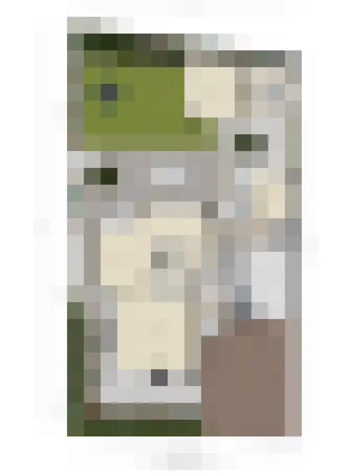 Koolmees 6 Mierlo thumbnail 80